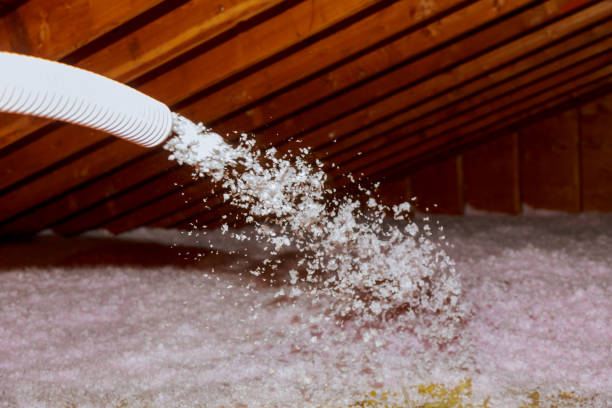 Best Spray Foam Insulation in Neillsville, WI