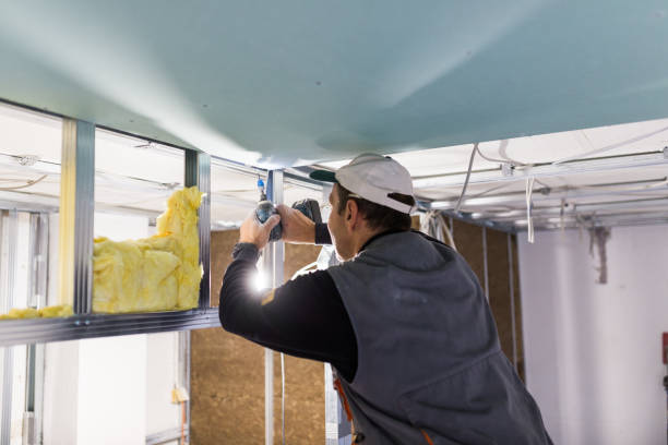 Best Residential Insulation in Neillsville, WI