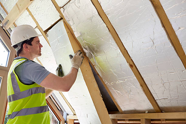 Best Specialized Insulation Services in Neillsville, WI